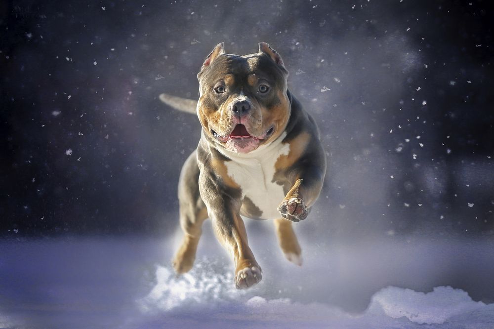 Давай поиграем