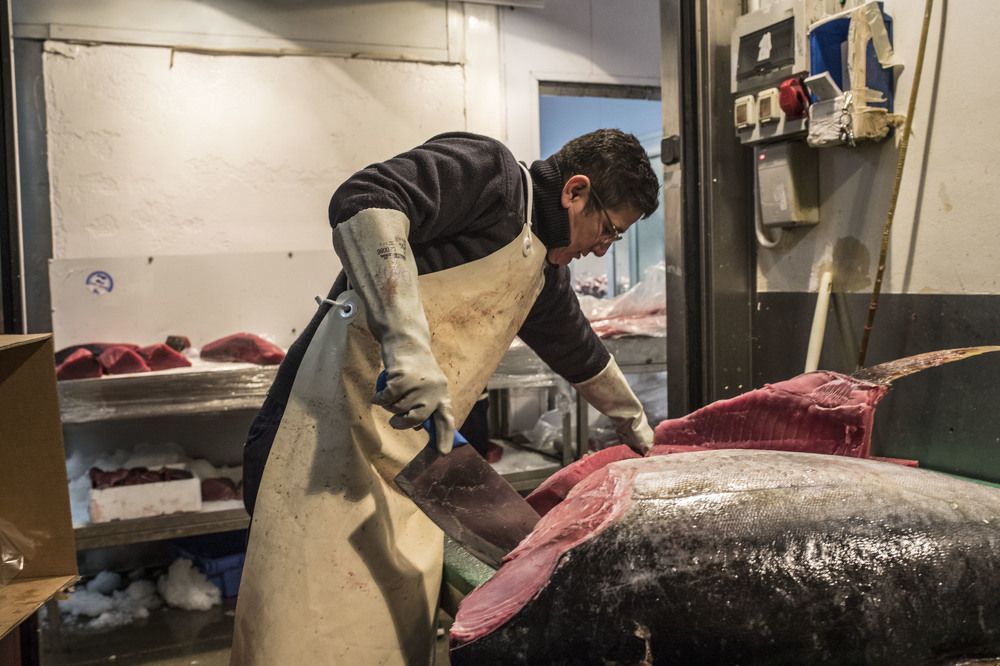 Mercabarna fish market