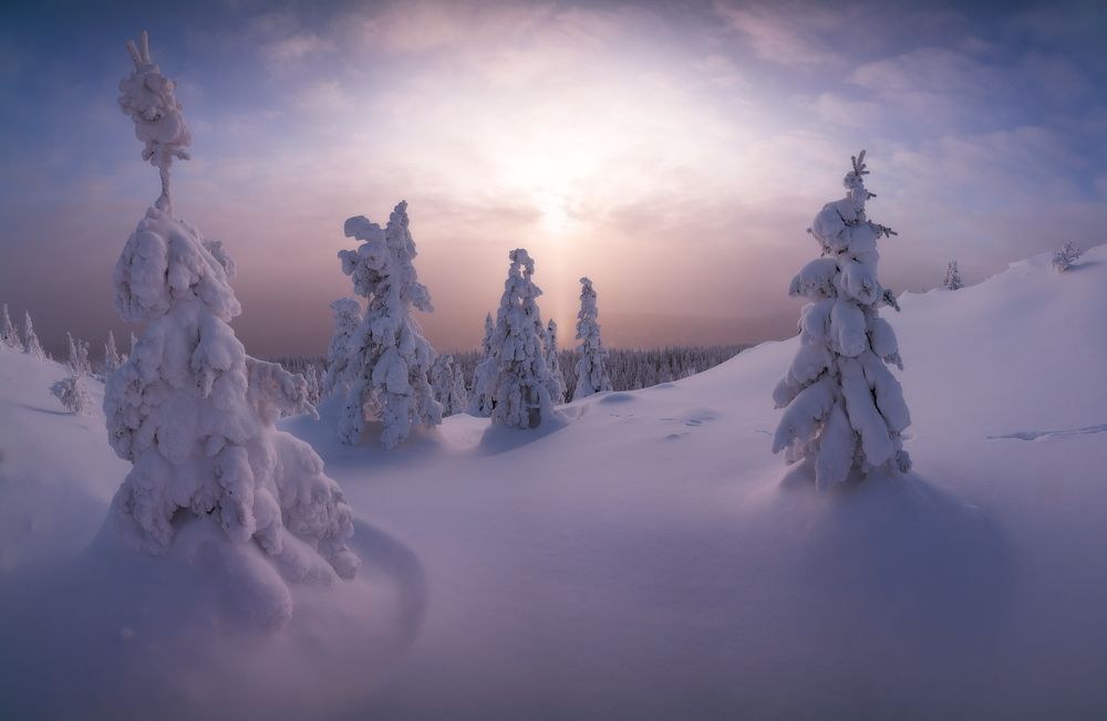 Пушистое настроение