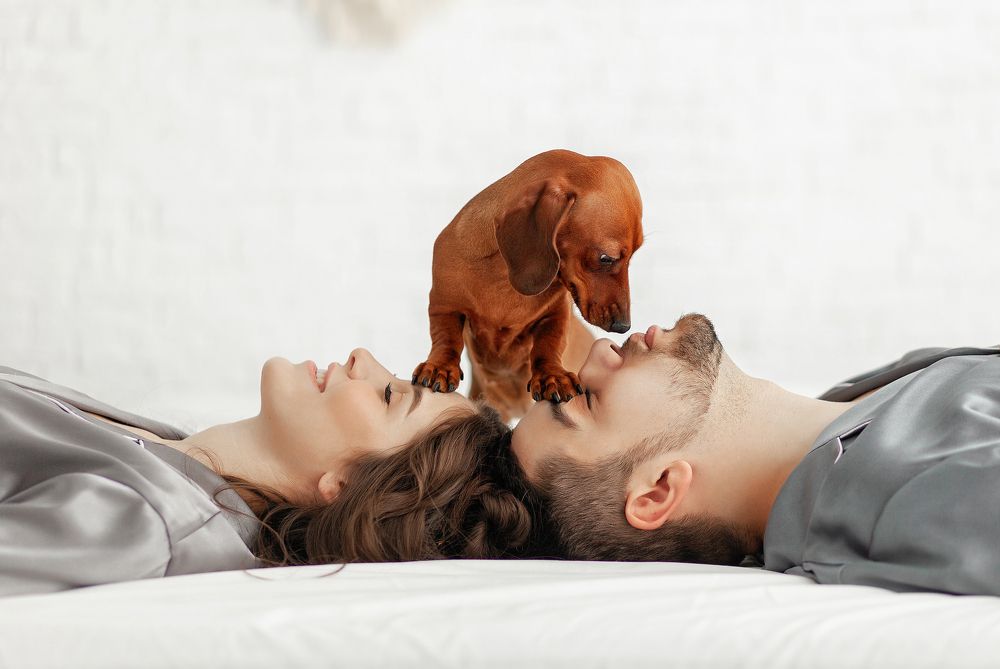 Photograph by Каро Анжелика