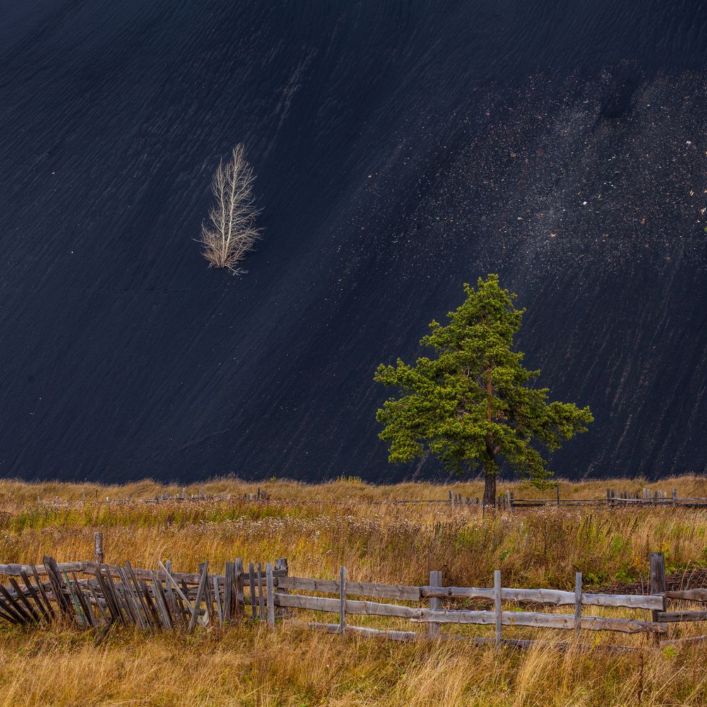 Орден За волю к жизни