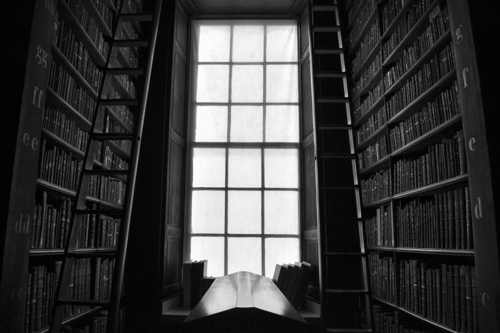 Books find you in the way of light