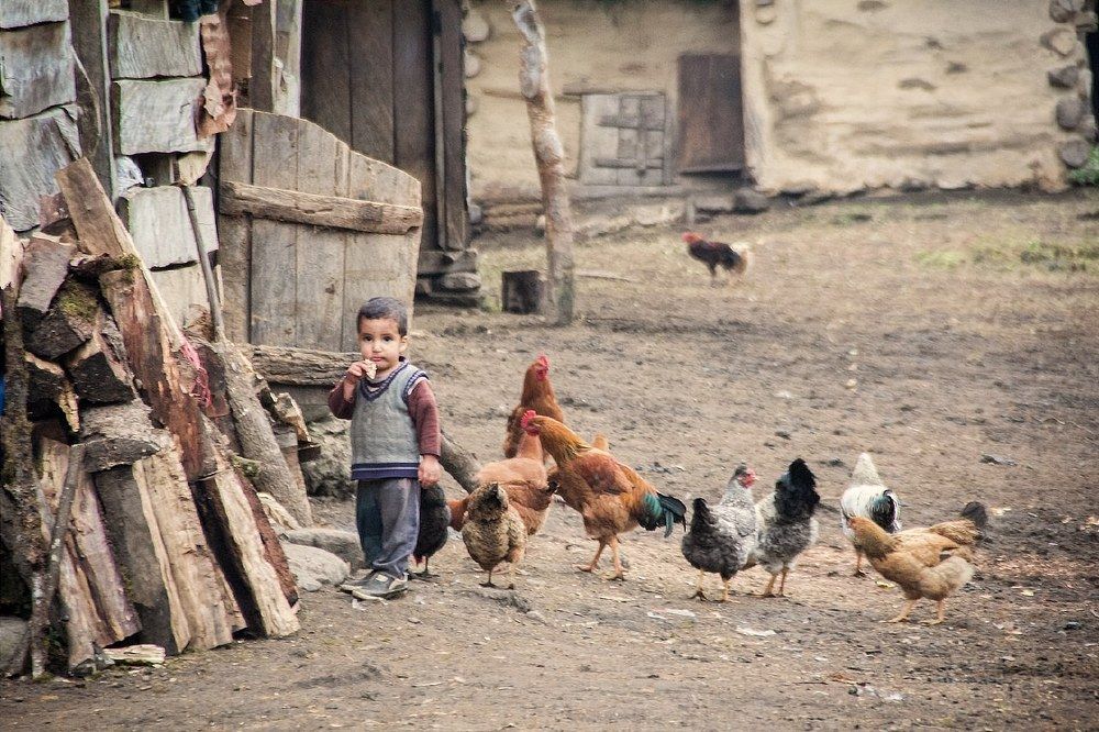 Child of countryside