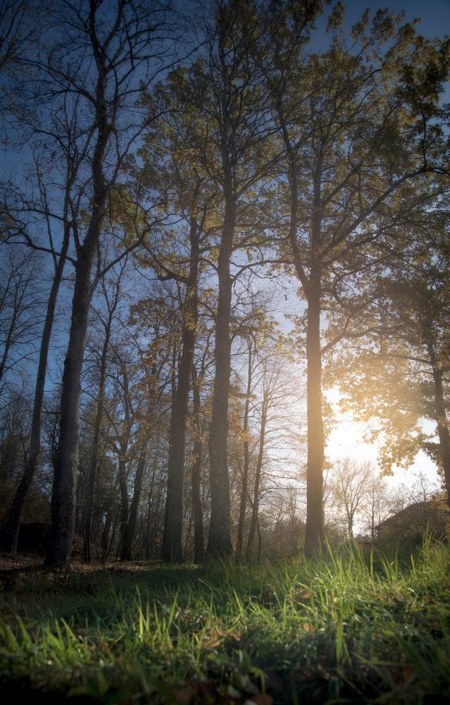 без названия