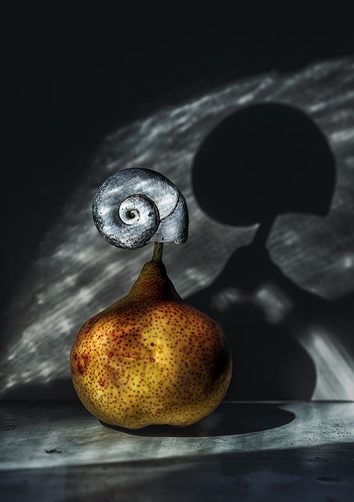 Photograph by Stas Che