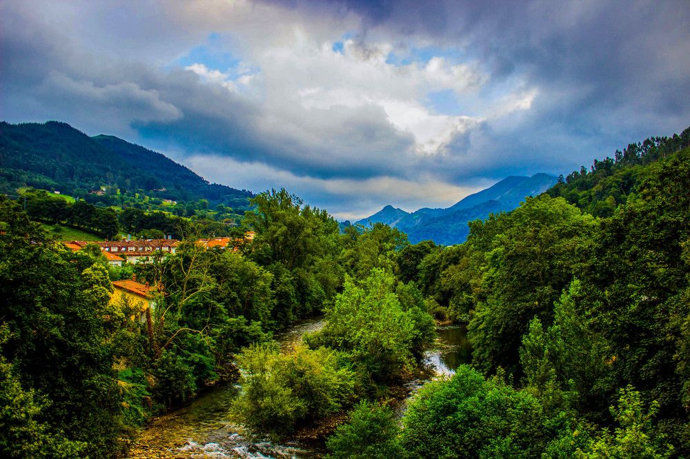 Лесная сказака