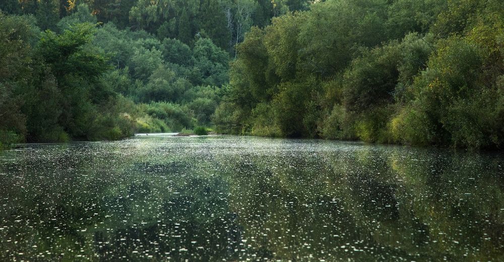 Джунгли малых русских рек