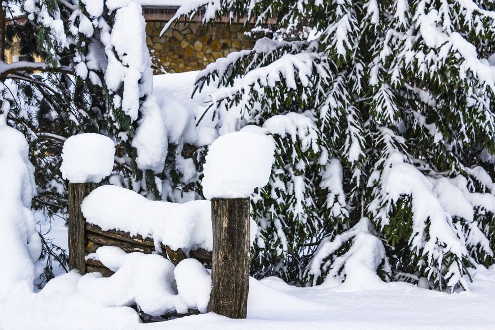 Photograph by MARINA FADEEVA