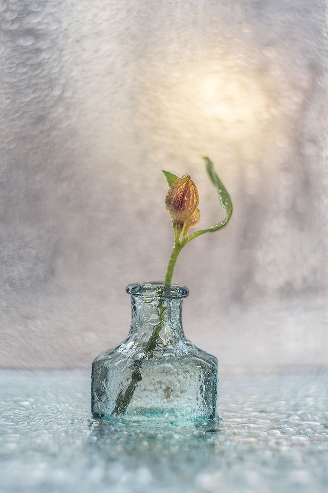 Photograph by Ксения Орлова