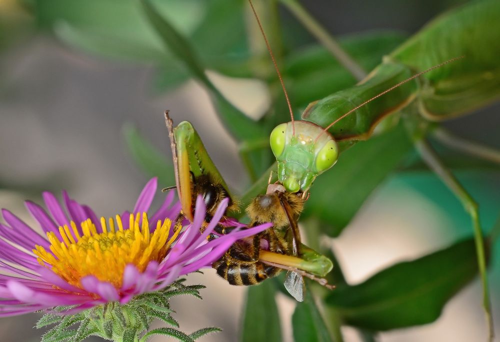 Photograph by Александр Колтухов