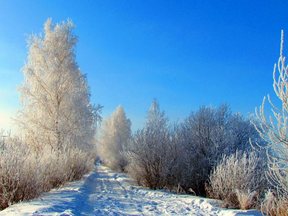 Зимняя красота.