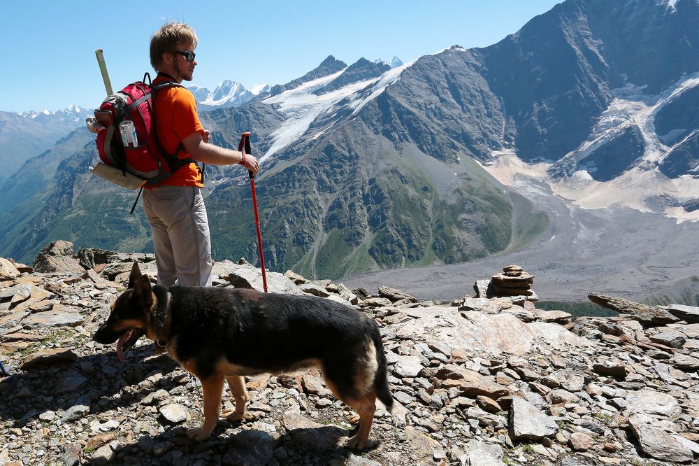 Хозяин, хватит отдыхать.