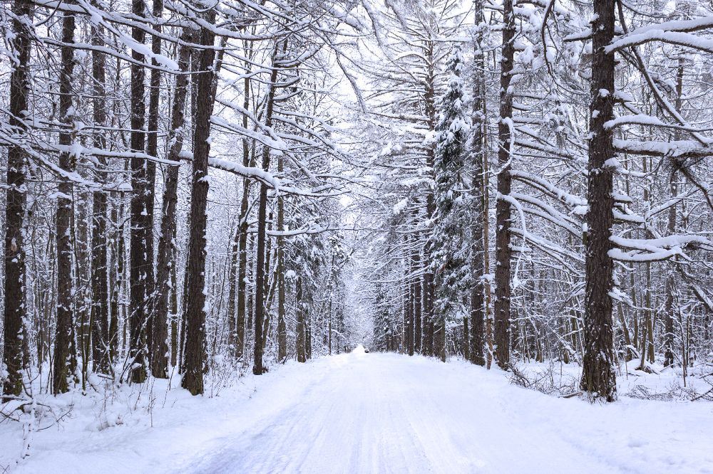 Photograph by MARINA FADEEVA