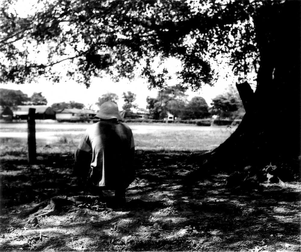 LIFE EQUILIBRIUM, PEACE