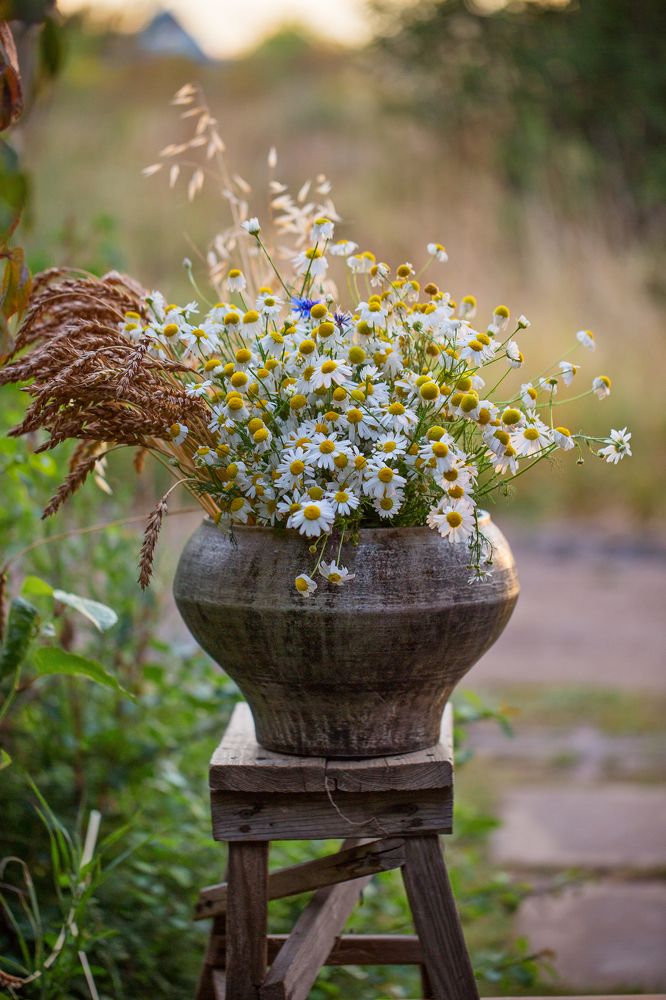 Лето в чугунке