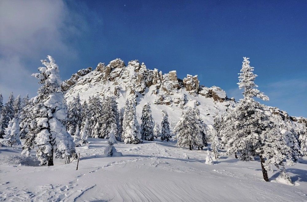 Откликной гребень