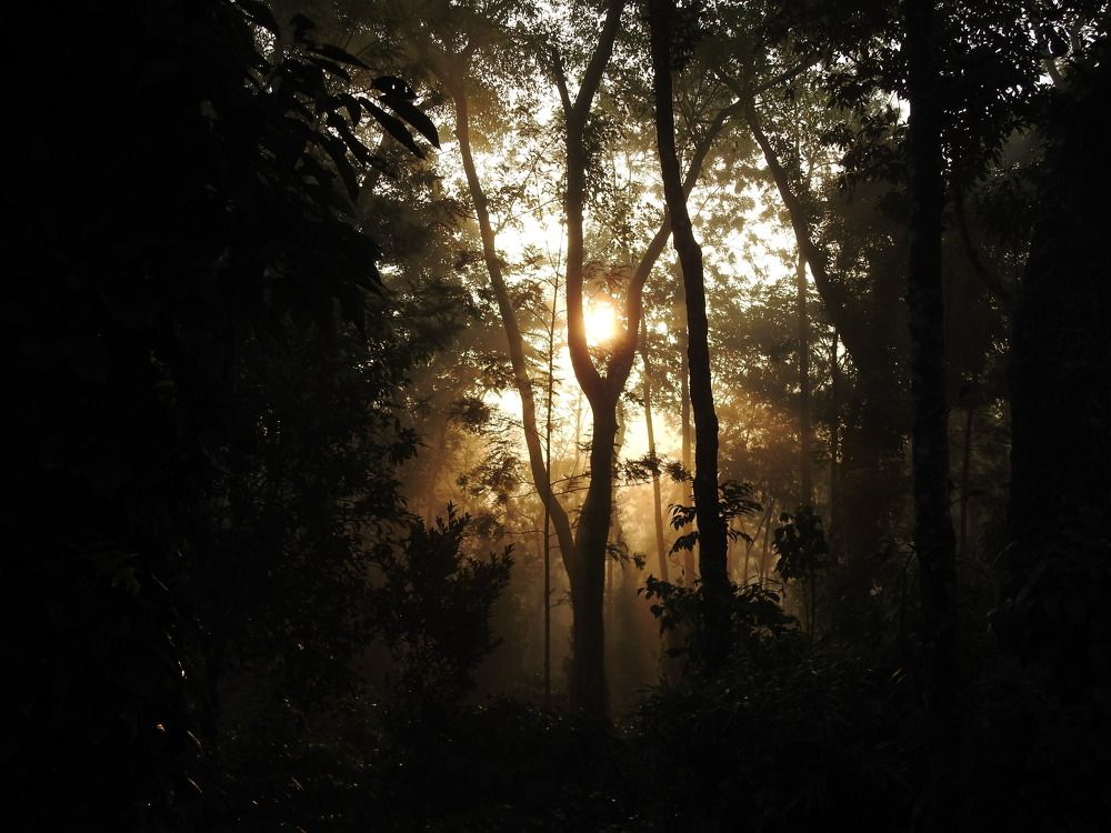 Beauty in radiance