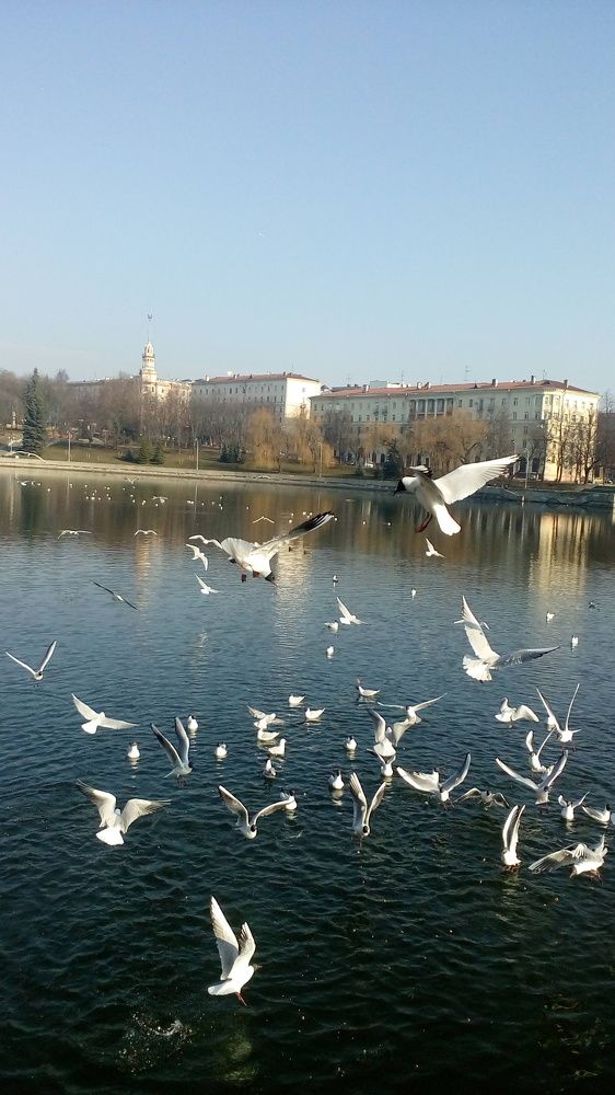 Photo #3055953