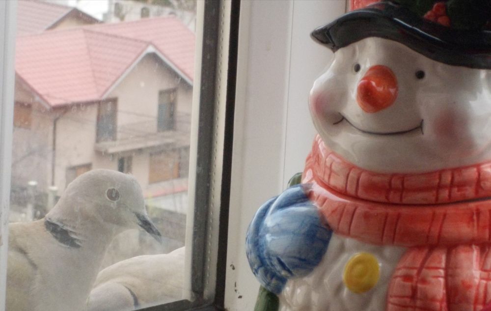 Heei, uită-te în calendar!!!