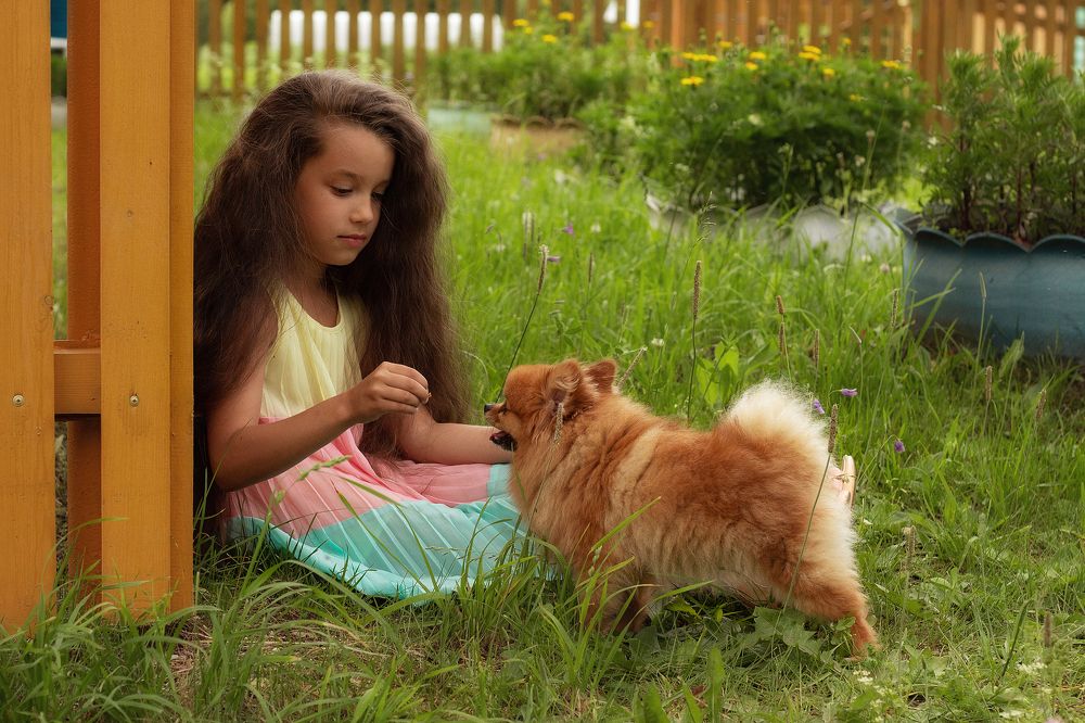 Лучшие друзья