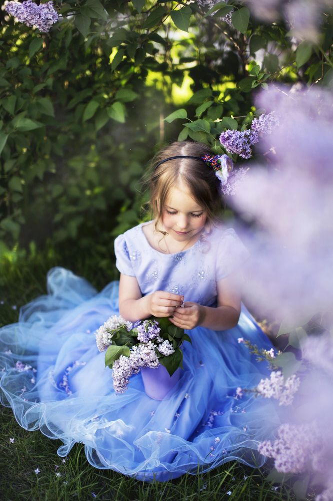 сиреневый сад