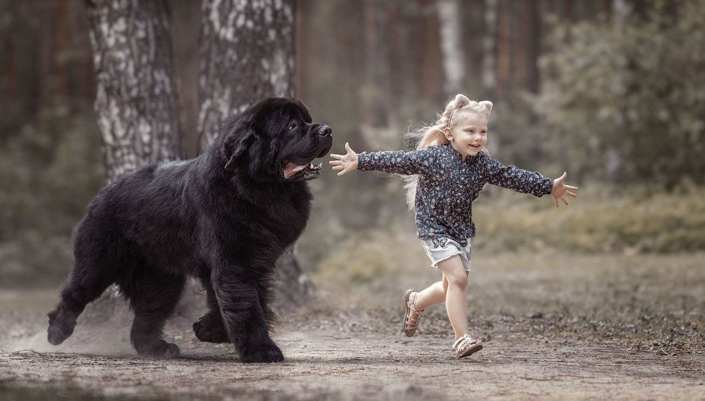 Photograph by Андрей Селиверстов