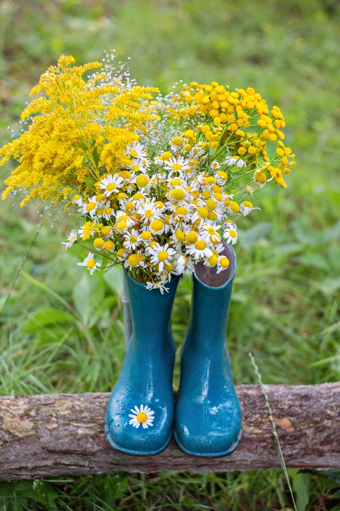 Цветы в сапожках