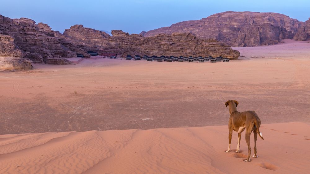Пустыня Вади Рам. Иордания. Пейзаж другой планеты.