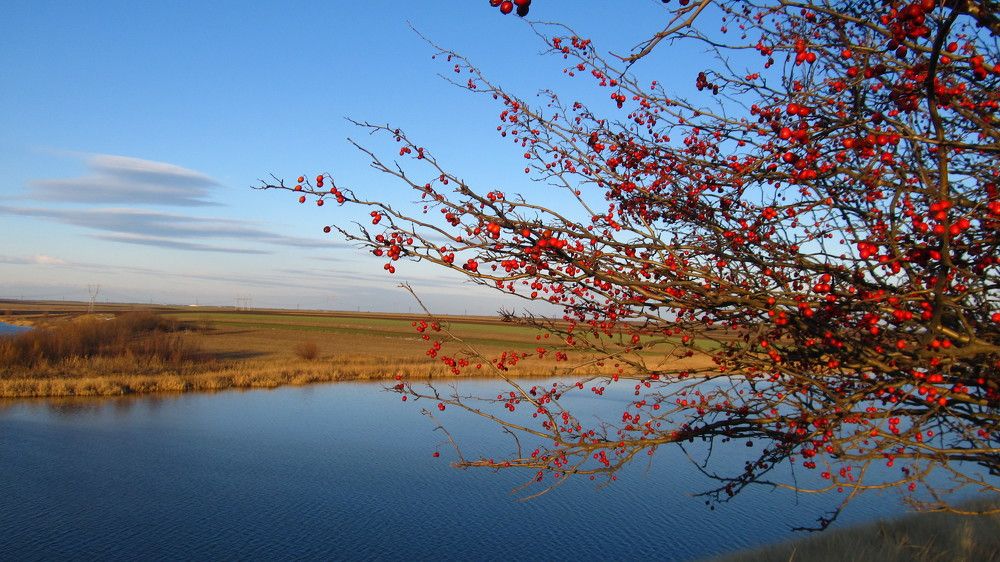 Fields, wonderful seasons, winter