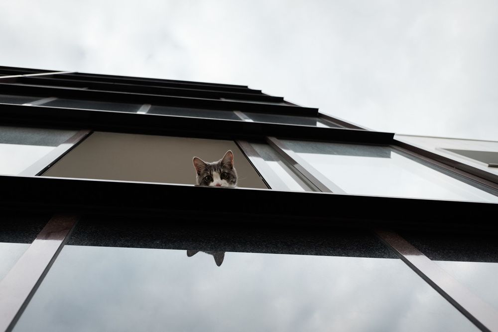 Новая квартира