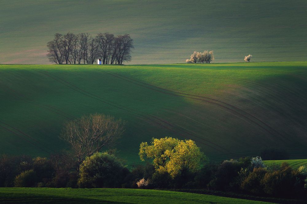 Света и тени полей Моравии