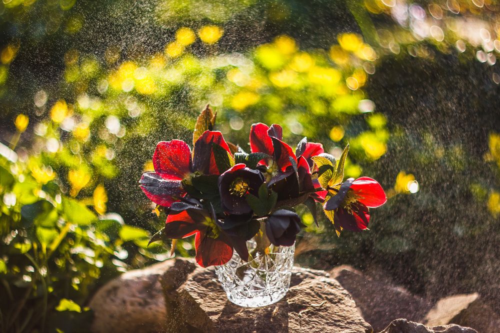 Солнечное утро