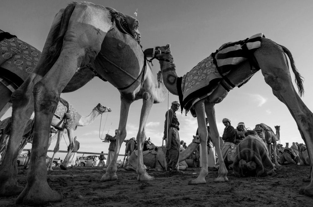 All set for the race