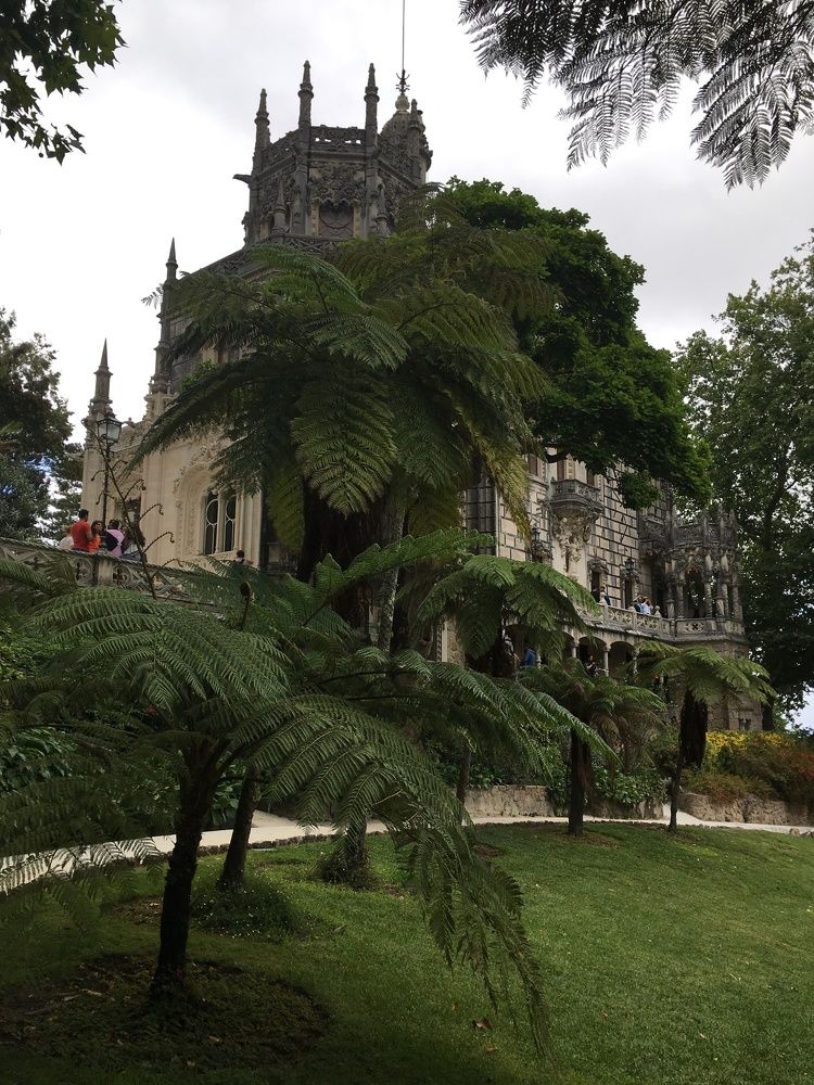 Замом принцессы