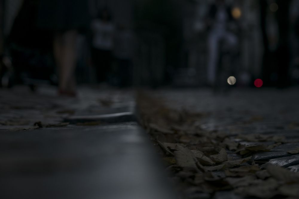 My Summer walked away