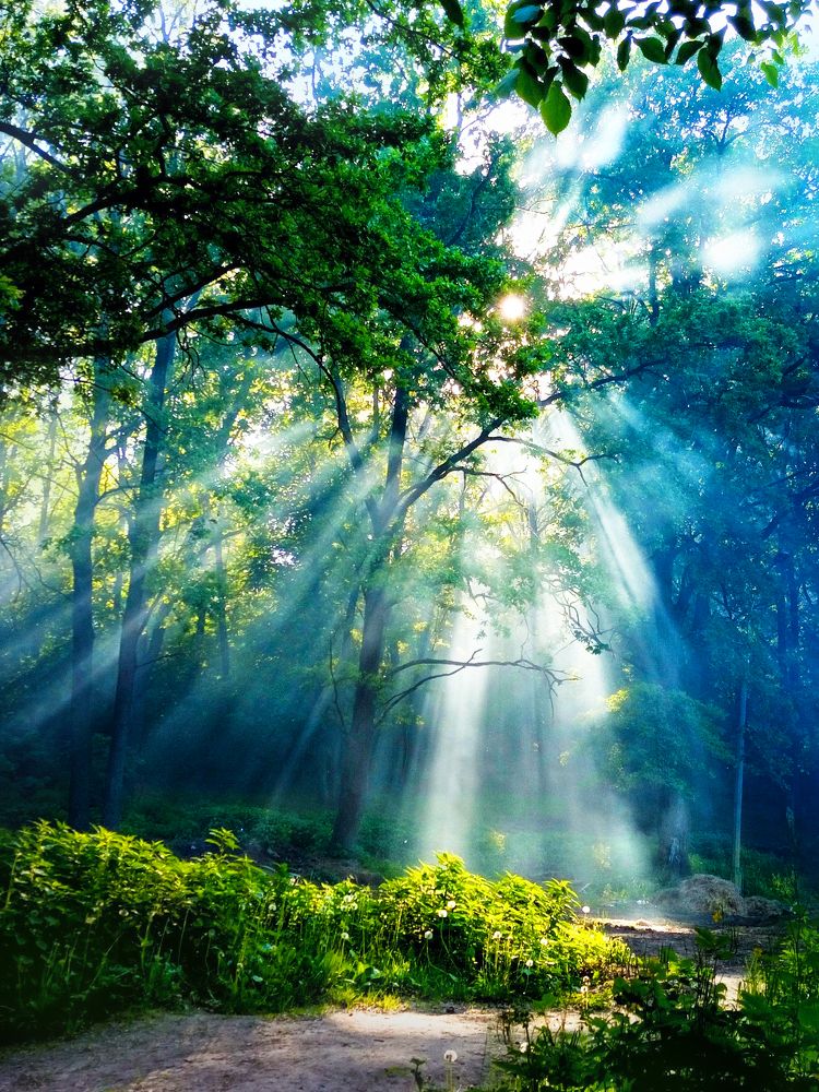 Центральный парк в Воронеже