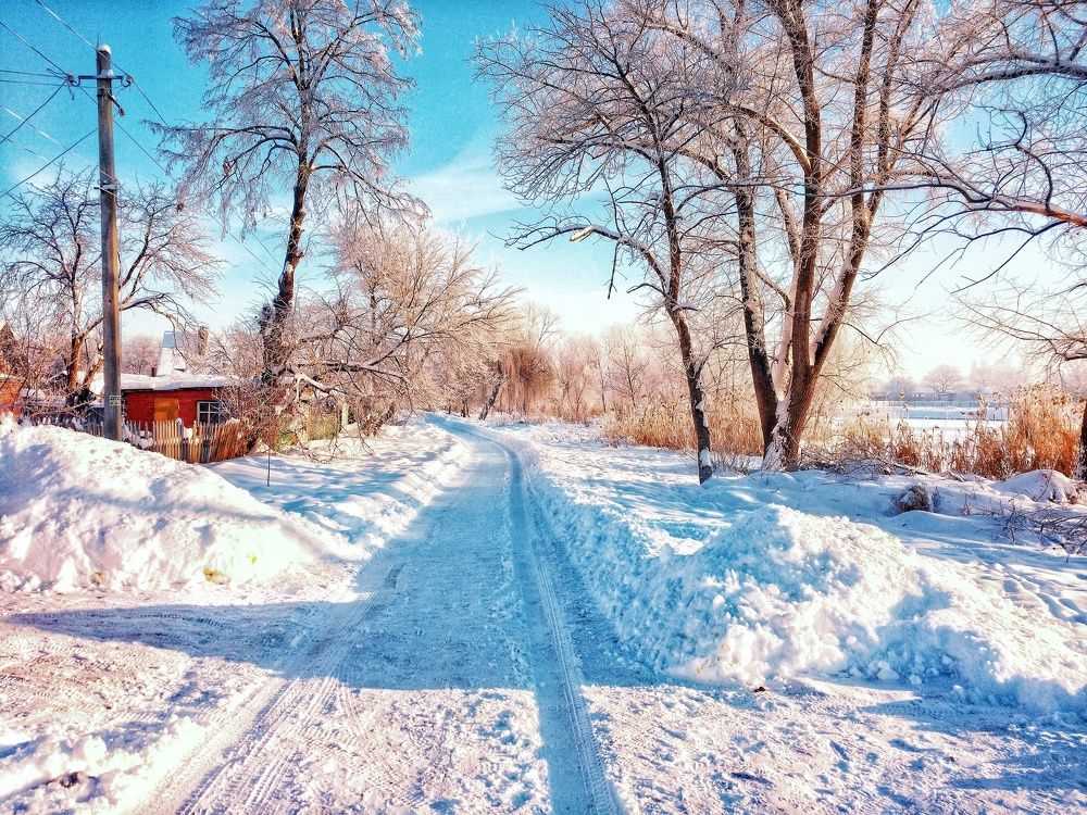 Яркий зимний день