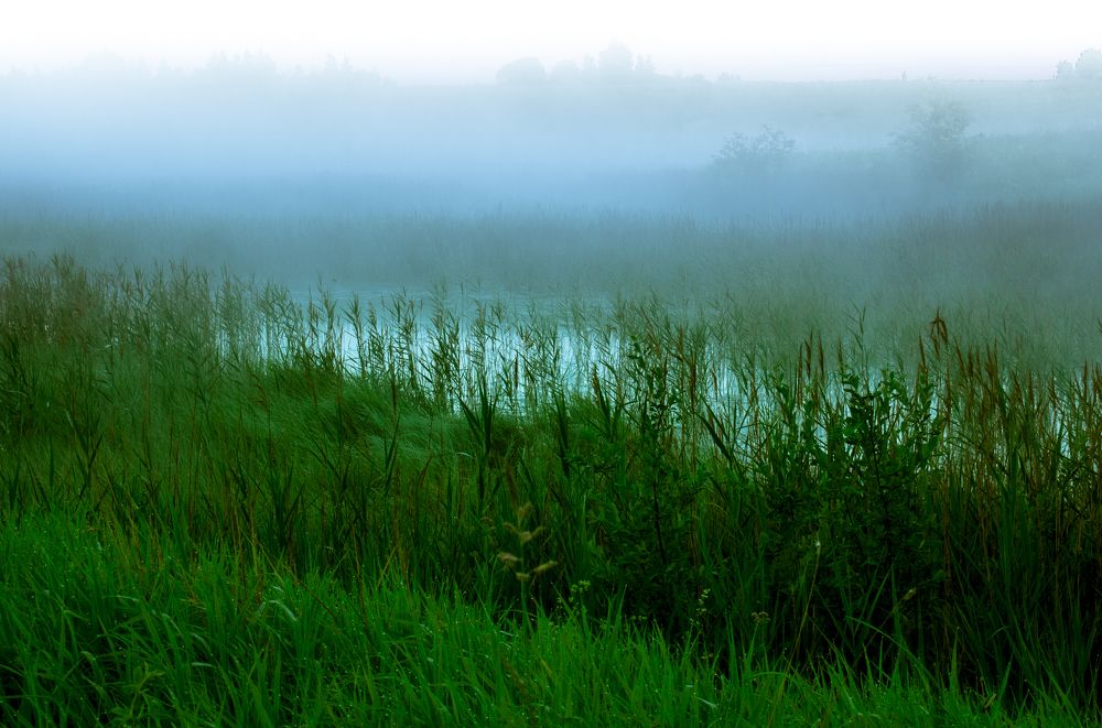 Туманный рассвет