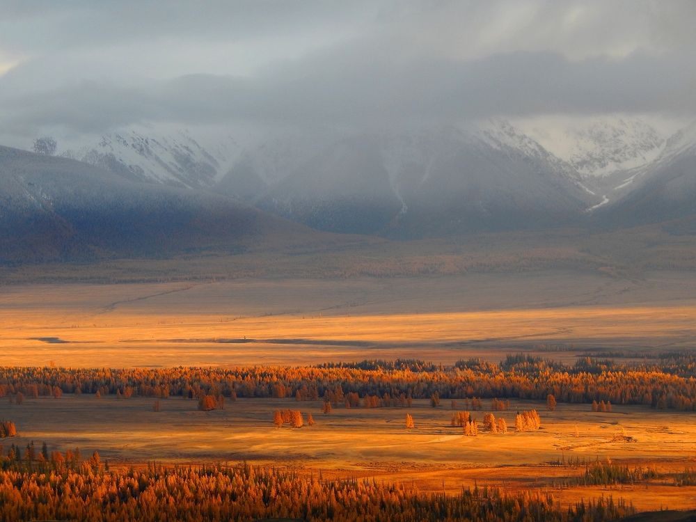 Photograph by Анастасия