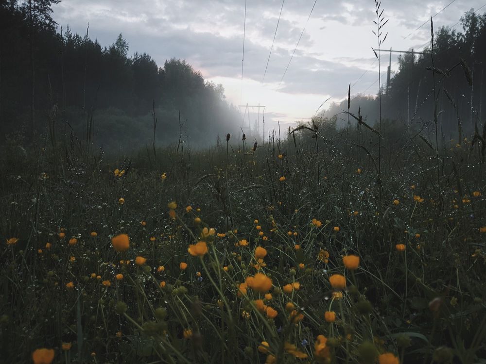 Тихий вечер