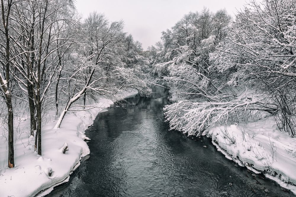 Река Сходня