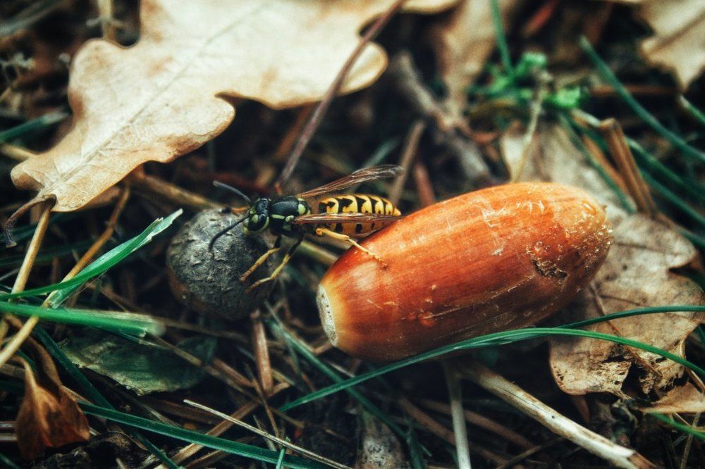 Последний рывок