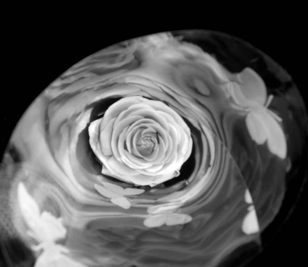 Photograph by Елизавета Шевченко