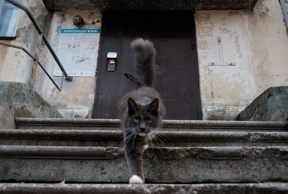 Очень странные дела