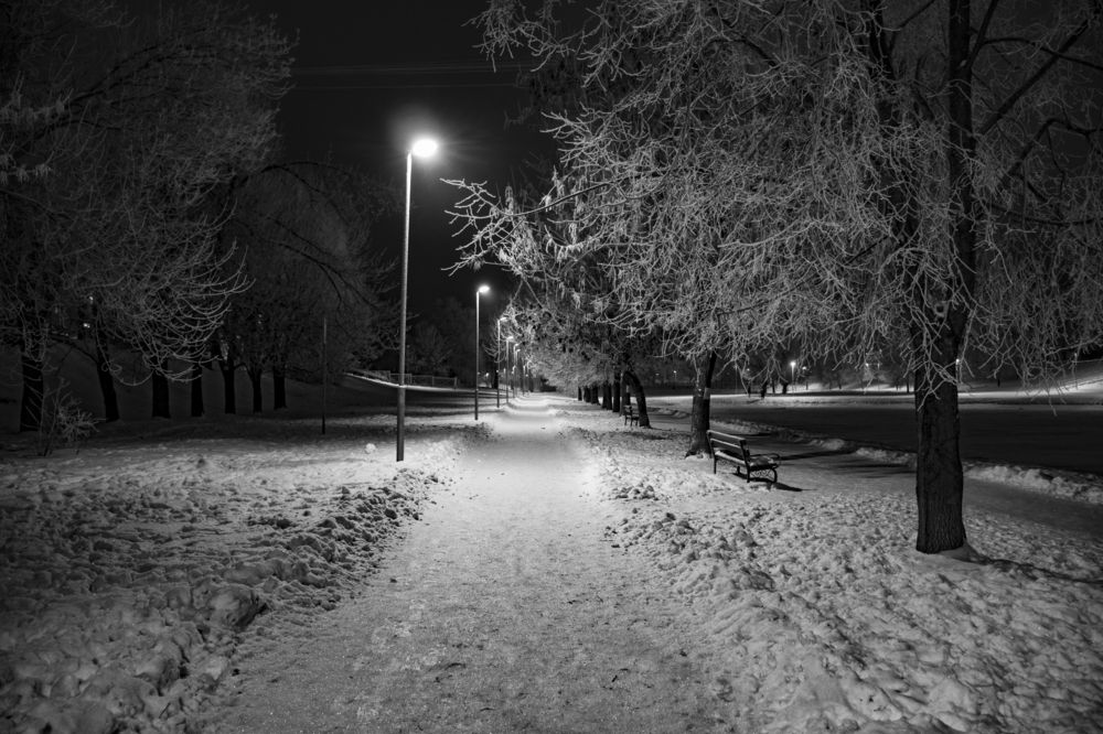 Ночной зимний парк