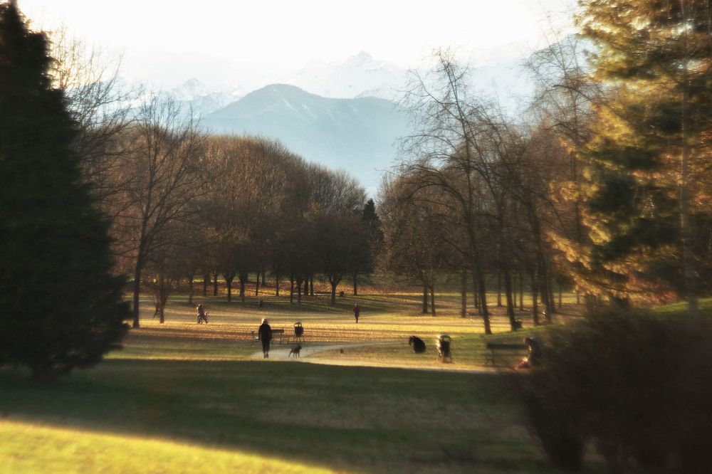 Жить с природой...