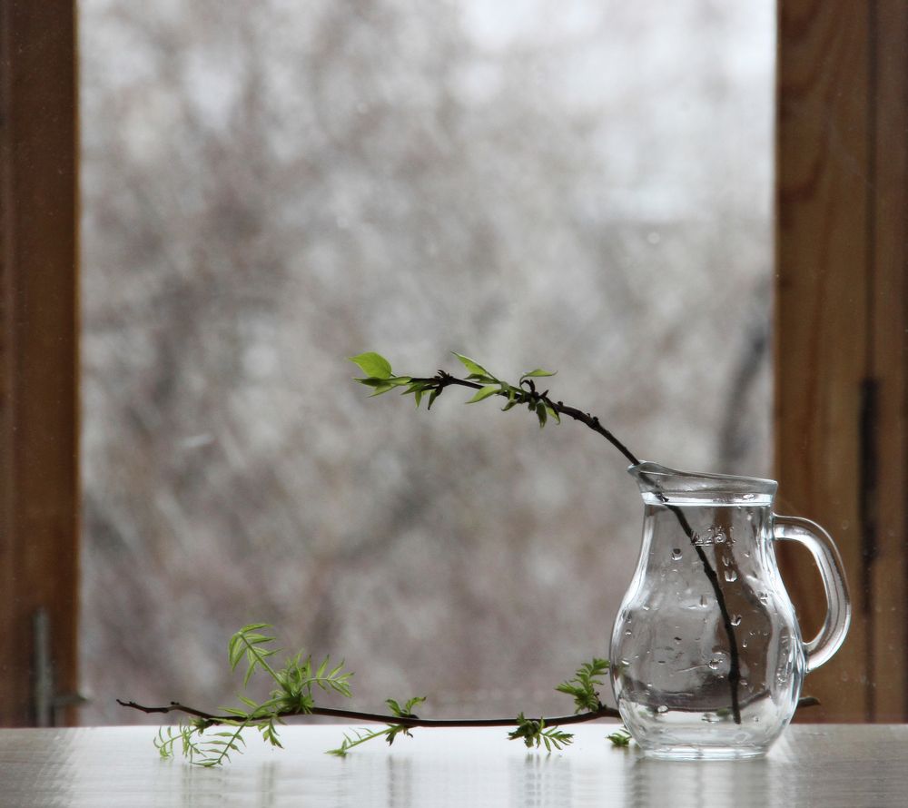 Весенний минимализм