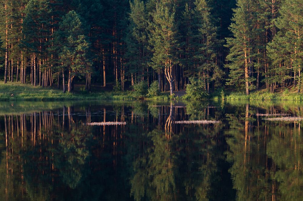 Драгоценный вечер