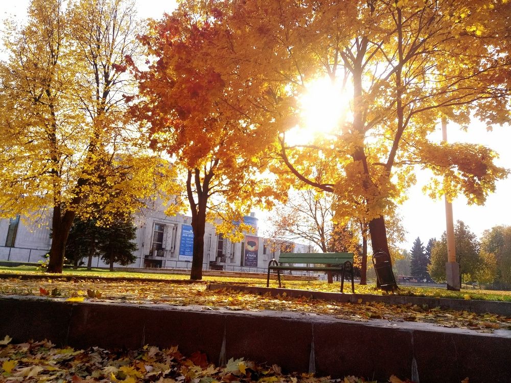 Осенью на лавочке...