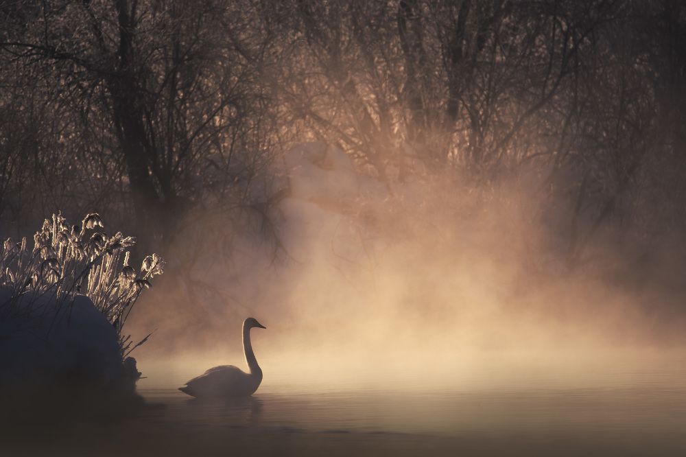 Утро для одного